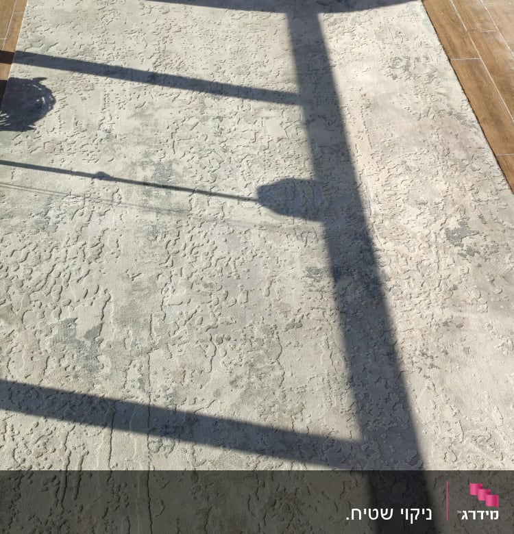 ניקוי שטיח.